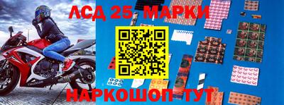 прущие грибы Норильск